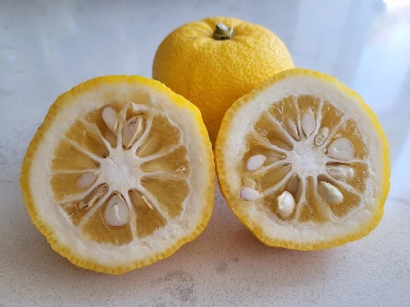 AROMATIC YUZU FRUIT — Earl's Organic Produce